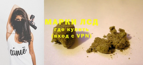 стаф Лабытнанги