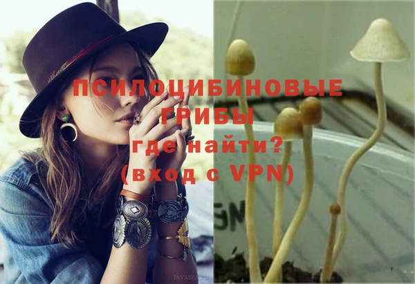 jwh Ладушкин